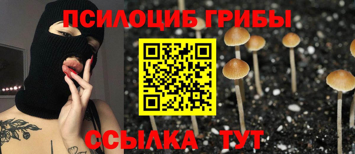 Псилоцибиновые грибы ЛСД  Галлюциногенные грибы мицелий  Балабаново  Вход с VPN 